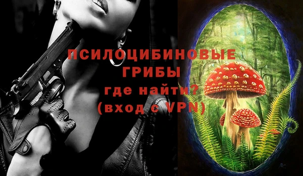 герыч Ахтубинск