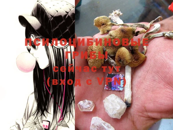 ECSTASY Нея