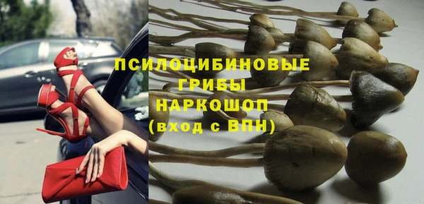 ECSTASY Нея