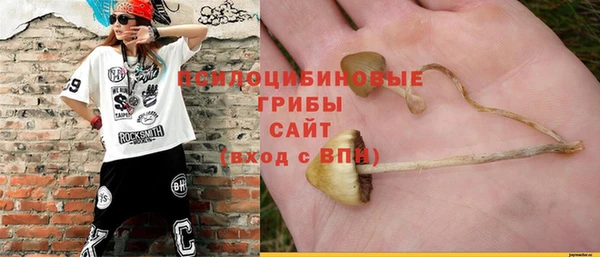 ECSTASY Нея