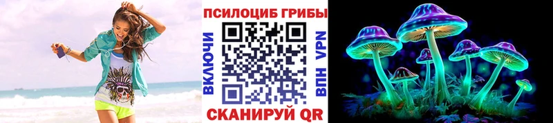 купить наркотик  Кяхта  мега сайт  Псилоцибиновые грибы Psilocybine cubensis 